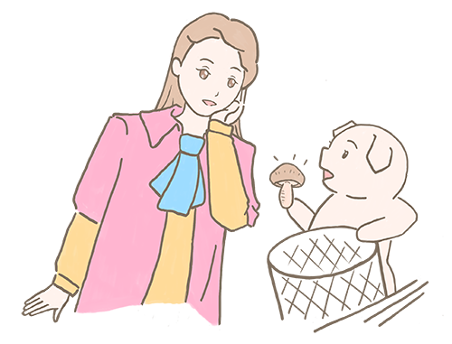 フィロにキノコをあげる